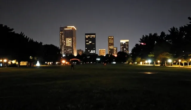 软件管理办法的选型与使用建议
